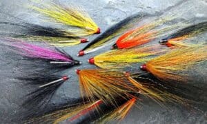 Tube Flies