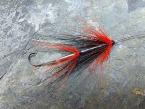 Sea Trout Black and Orange Intruder