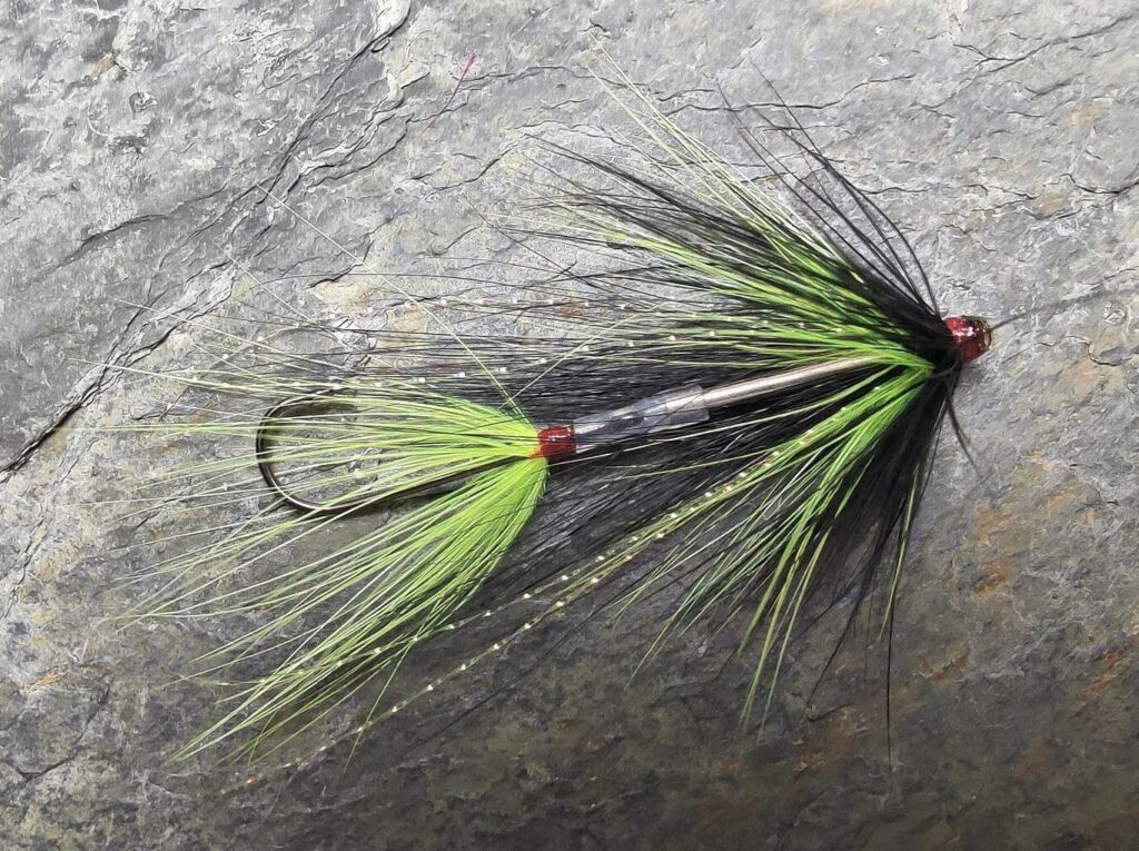 Black and Yellow Steelhead Tingler