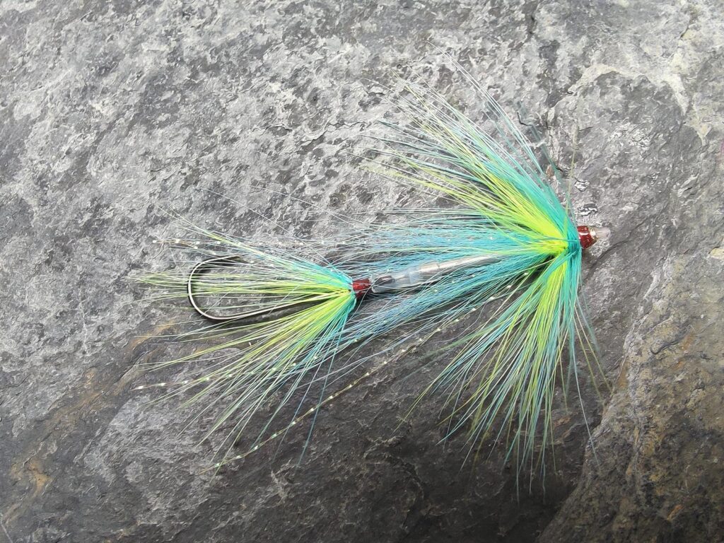 Blue and Yellow Steelhead Tingler